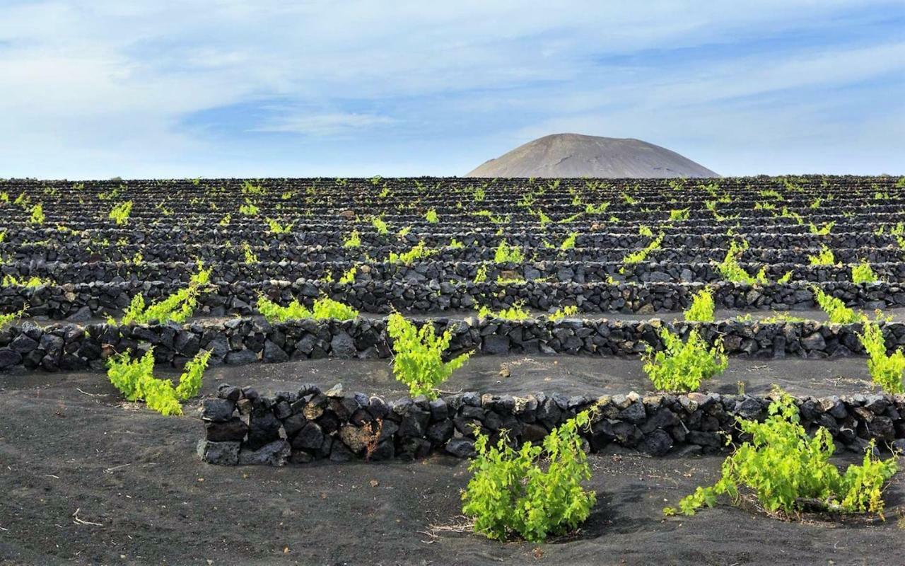 Villa Carmen Lanzarote コスタ・テギセ エクステリア 写真